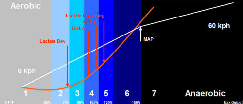 cont_lactate