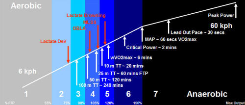 continuum markers