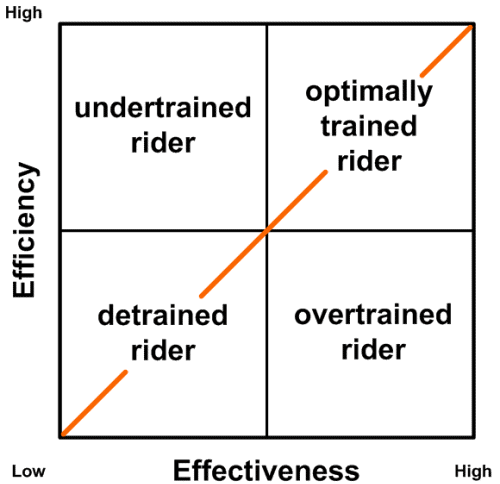 fitness matrix