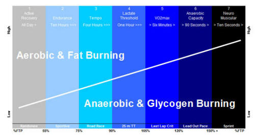 fat burner