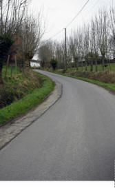 Varent