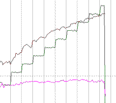 Ramp Test, MAP Test or Conconi Test.